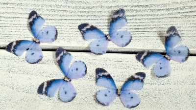 Аппликация объемная, бабочка шифоновая, 45x35мм, цвет голубой, РТ-009,  1 шт