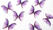 Аппликация объемная, бабочка шифоновая, 35x30мм, цвет фиолетовый, РТ-081,  1 шт