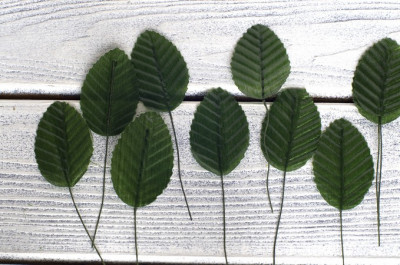 Листочки декоративные, 3,2*5 см, цвет тёмно-зеленый, 1 уп(10шт)