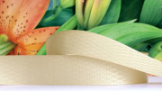 Лента сатиновая декоративная, 22мм, цвет бежевый, ромбы, ДС22-016, 1м