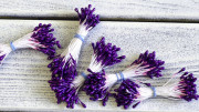 Тычинки, 3мм, цвет тёмно-фиолетовый, 1уп (около 60 нитей)
