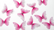 Аппликация объемная, бабочка шифоновая, 40x30мм, цвет розовый, РТ-010,  1 шт