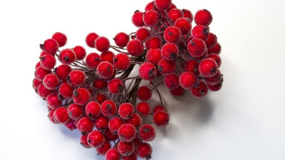 Сахарные ягодки на ветке 12 мм, цвет красный, 1 уп ( 10 шт веточек)
