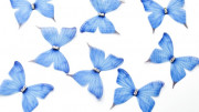 Аппликация объемная, бабочка шифоновая, 40x30мм, цвет голубой, РТ-264, 1 шт