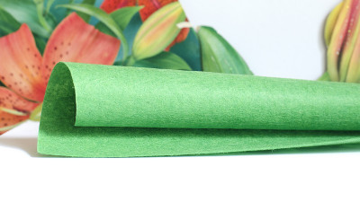 Фетр жёсткий 20*30см, цвет зелёный, толщина 1мм, Китай, Ф040, 1 лист